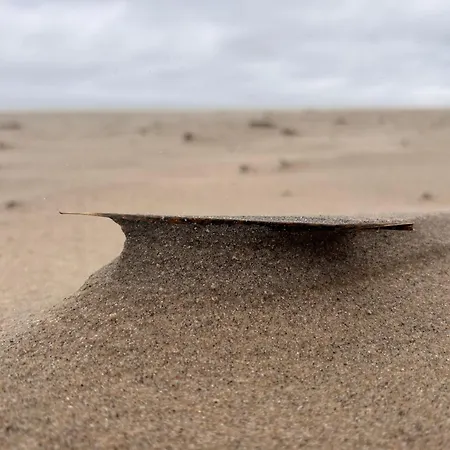 Eden Premium Sauna, Jacuzzi 3* Jastrzębia Góra