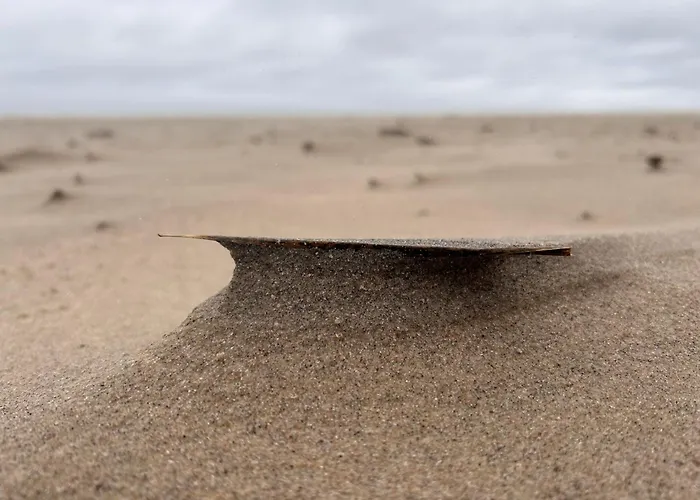 Eden Premium Sauna, Jacuzzi 3* Jastrzębia Góra